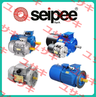 JM90S4 1.1KW IE2 B3 SEIPEE