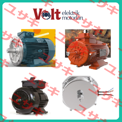 VM 100-4 / 185008200739 Volt Elektrik Motor