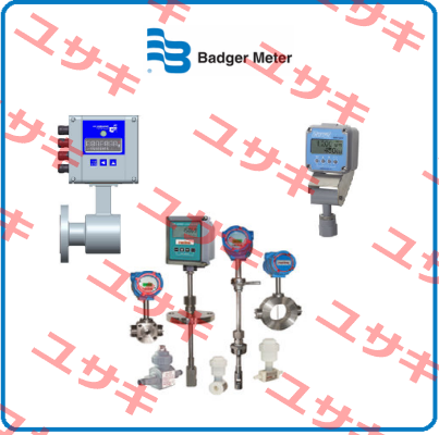 B110-875 + B220-950 Badger Meter