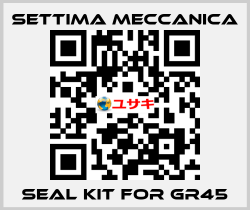 Seal kit for GR45 Settima Meccanica