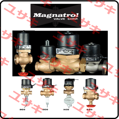 F129L53 / F899-MM24-28-56 Magnatrol