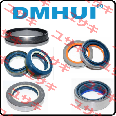 BH6657E DMHUI