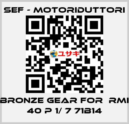 bronze gear for  RMI 40 P 1/ 7 71B14 SEF - MOTORIDUTTORI