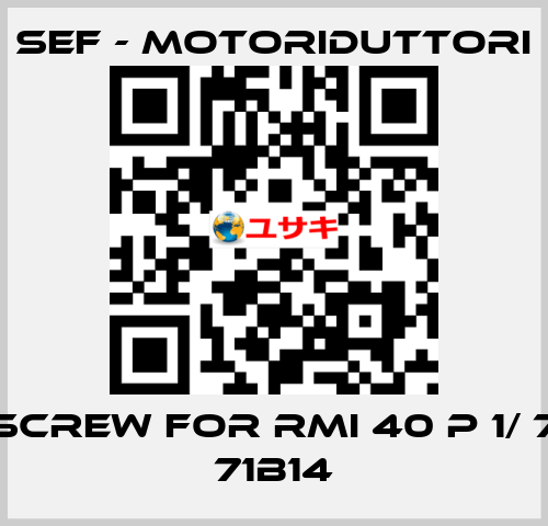 screw for RMI 40 P 1/ 7 71B14 SEF - MOTORIDUTTORI