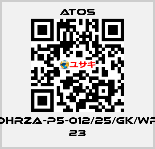 DHRZA-P5-012/25/GK/WP 23 Atos