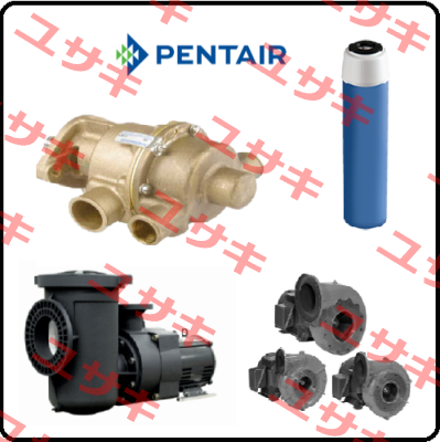 255495-75 Pentek (Pentair)