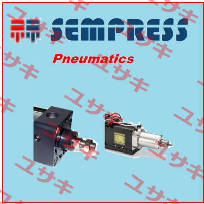 1211000200AP Sempress