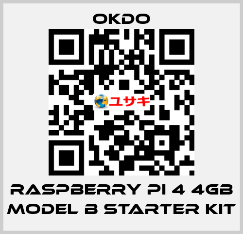 Raspberry Pi 4 4GB Model B Starter Kit Okdo