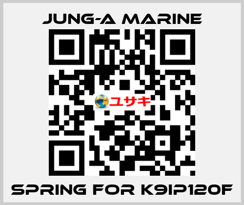 spring for K9IP120F JUNG-A MARINE