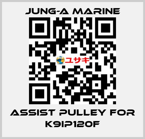 assist pulley for K9IP120F JUNG-A MARINE