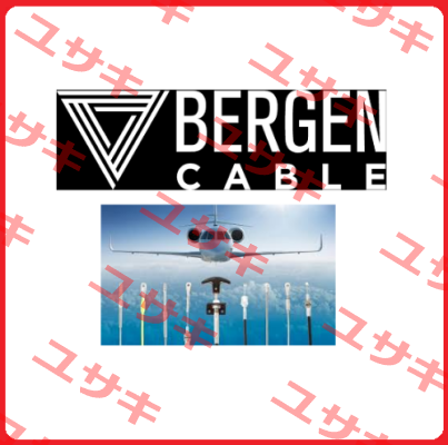 45-6N Bergen Cable Technology Llc