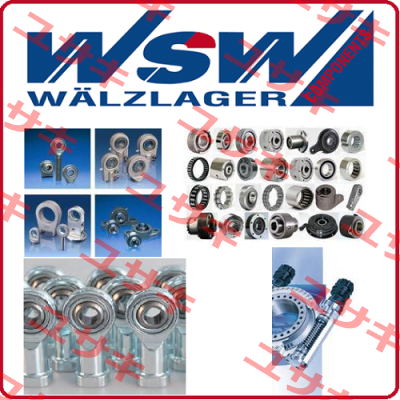 SD100 WSW Waelzlager