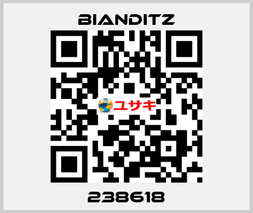 238618 Bianditz