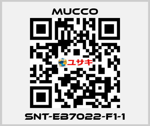 SNT-EB7022-F1-1 mucco