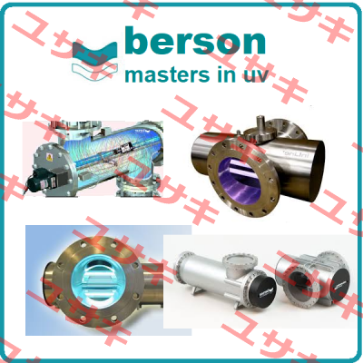 VM-S025V1 Berson