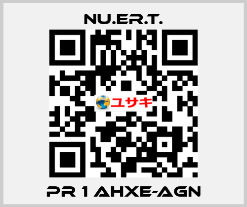 PR 1 AHXE-AGN NU.ER.T.