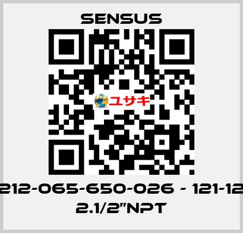 212-065-650-026 - 121-12 2.1/2”NPT Sensus