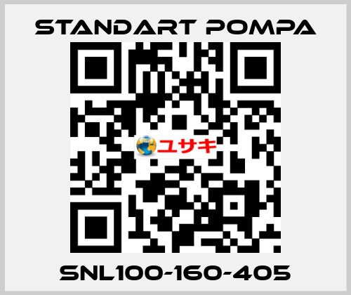 SNL100-160-405 STANDART POMPA