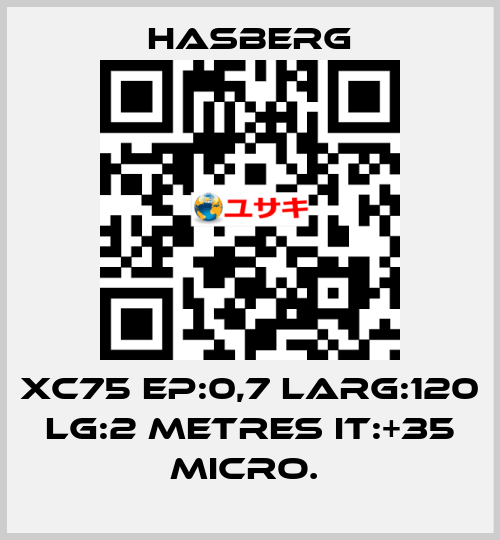 XC75 EP:0,7 LARG:120 LG:2 METRES IT:+35 MICRO.  Hasberg