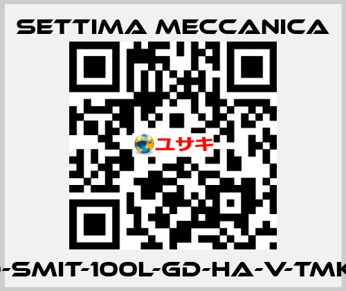 GR40-SMIT-100L-GD-HA-V-TMK-CSM Settima Meccanica