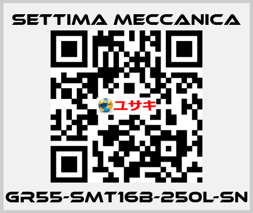 GR55-SMT16B-250L-SN Settima Meccanica