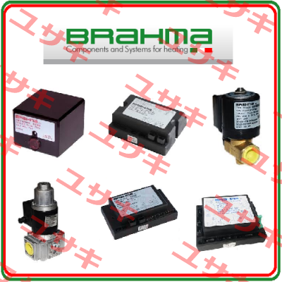 coil for 13743505 Brahma