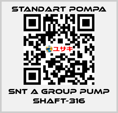 SNT A GROUP PUMP SHAFT-316 STANDART POMPA