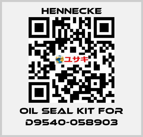 oil seal kit for D9540-058903 Hennecke