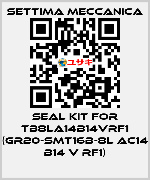 Seal kit for TB8LA14B14VRF1 (GR20-SMT16B-8L AC14 B14 V RF1) Settima Meccanica