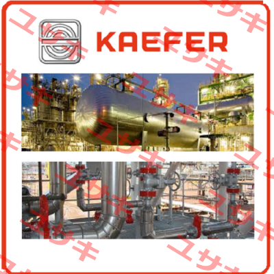 100004078 Kaefer