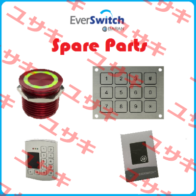 13700148 Everswitch