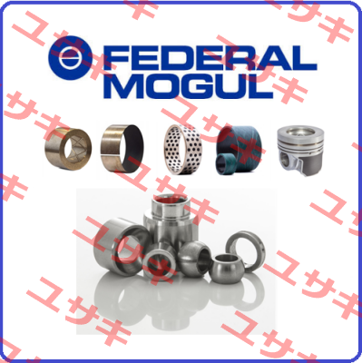 FMC-RNDEMIFS-038-21 Federal Mogul