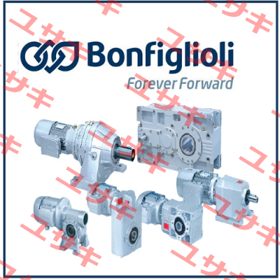 kit (ball bearings and closing caps) for VF49 12.300.506 Bonfiglioli