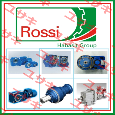 HFV 90 L 4 230.400-50 B5R Rossi