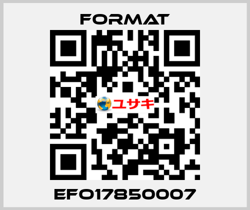 EFO17850007 Format