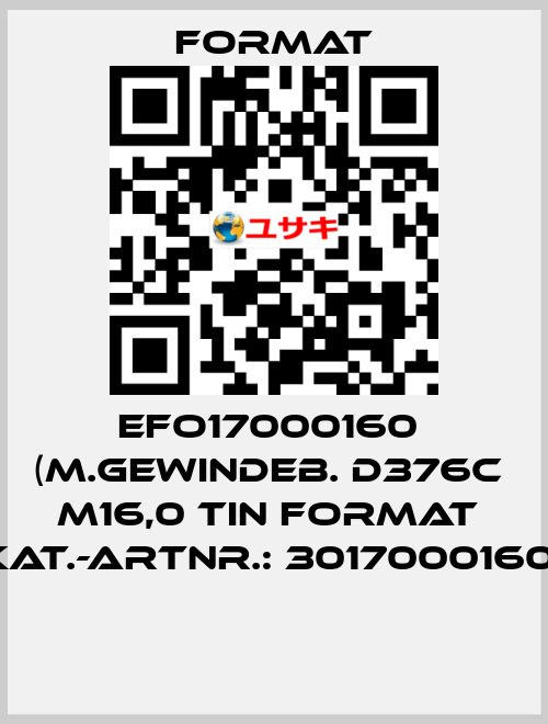 EFO17000160  (M.Gewindeb. D376C  M16,0 TiN FORMAT  Kat.-Artnr.: 3017000160)  Format