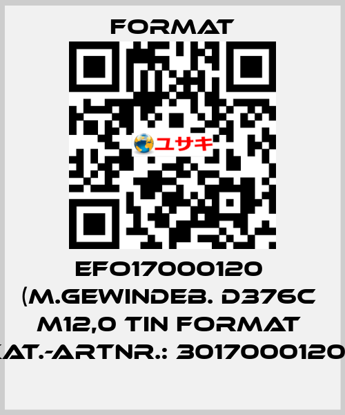 EFO17000120  (M.Gewindeb. D376C  M12,0 TiN FORMAT  Kat.-Artnr.: 3017000120)  Format