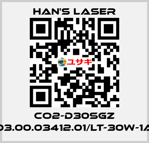 CO2-D30SGZ 03.00.03412.01/LT-30W-1A Han's Laser