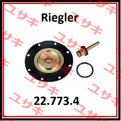 22.773.4 / 100915 Riegler