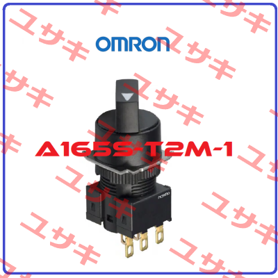 A165ST2M1 Omron