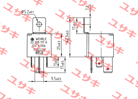 22200111 WEHRLE