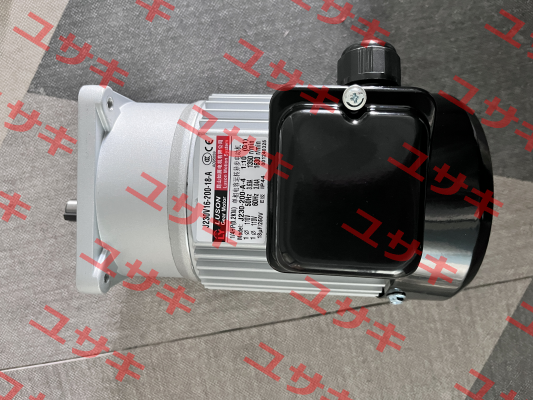 J230V16-200-18-A(G1) Luyang Gear Motor