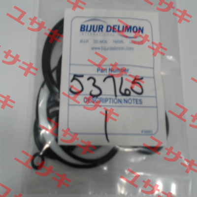 53765 Bijur Delimon