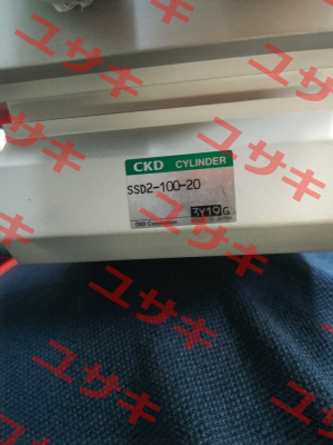 SSD2-100-20  Ckd