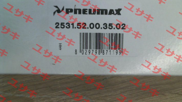 2531.52.00.35.02 (24V/DC) Pneumax