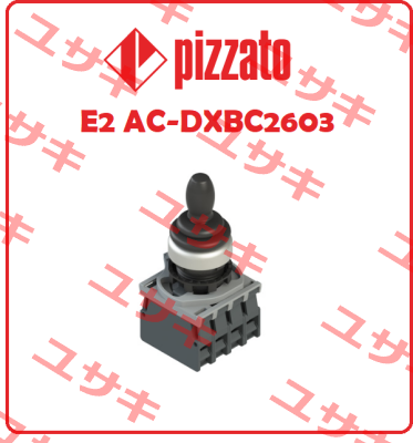 E2 AC-DXBC 2603 Pizzato Elettrica