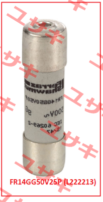 FR14GG50V25P (L222213) Mersen