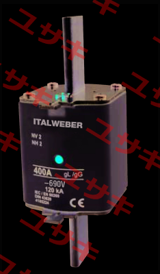 1520355 Italweber