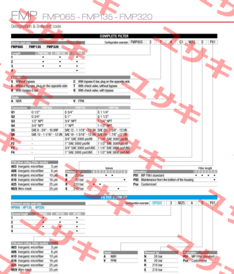 FMP-320-1-S-A-G1-A10-H-P01 MP Filtri