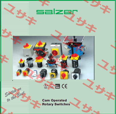 61131 Salzer